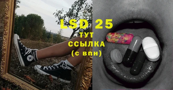 spice Баксан