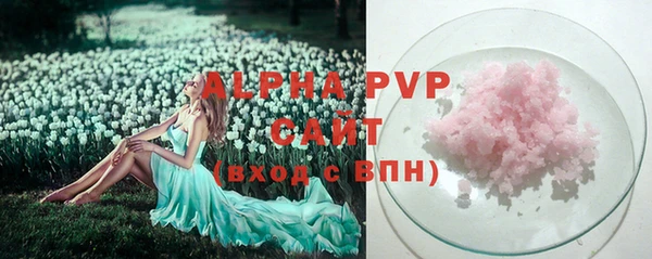 гашик Михайловск