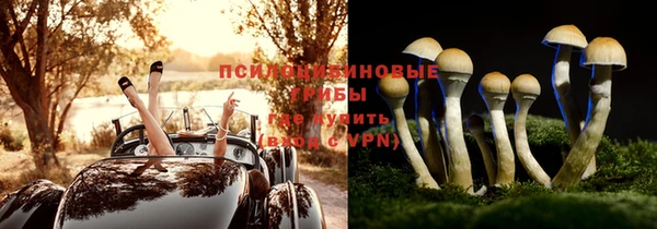 тгк Балахна