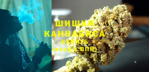 ГАЛЛЮЦИНОГЕННЫЕ ГРИБЫ Надым