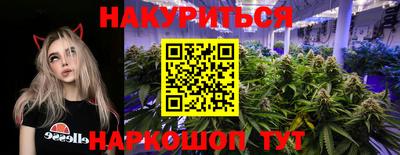 spice Будённовск