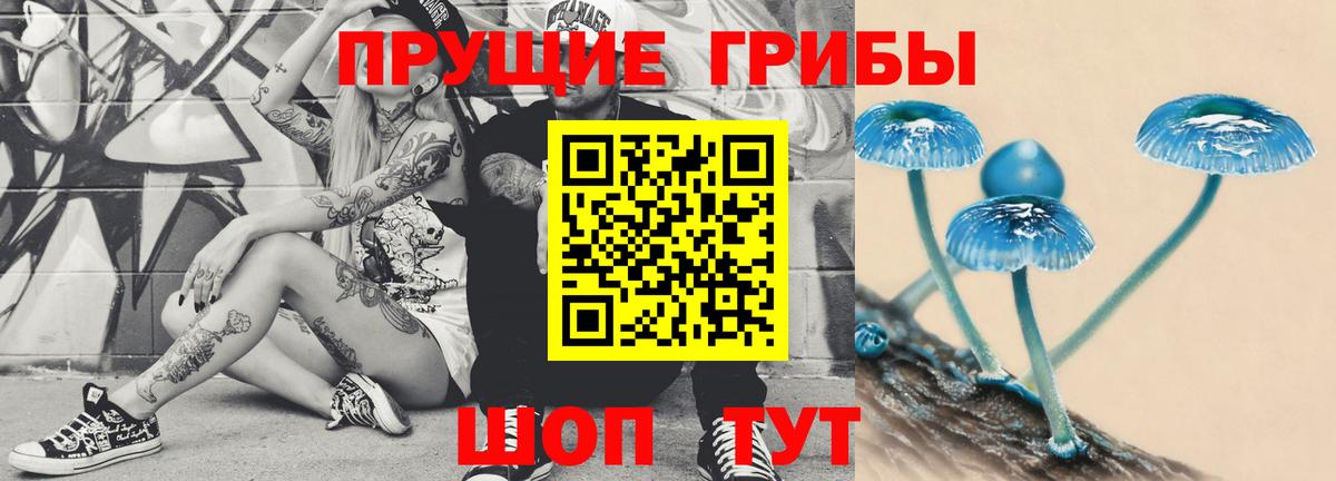 Псилоцибиновые грибы GOLDEN TEACHER Воткинск