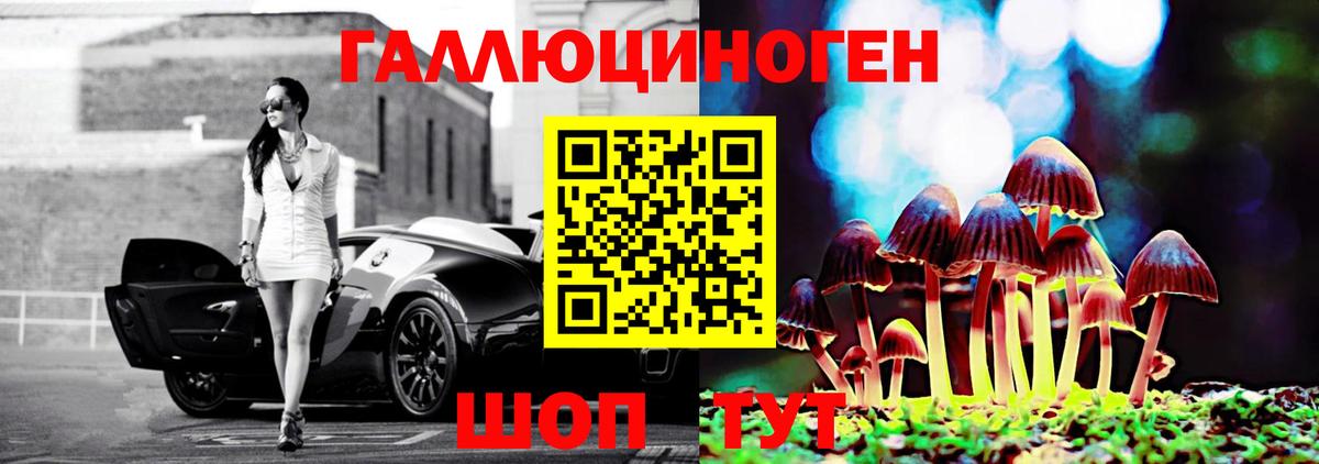 Псилоцибиновые грибы Psilocybe  Вход с VPN  где купить наркоту  Воткинск 